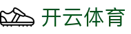 开云·体育(中国)官方网站_KAIYUN SPORTS